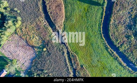 Vue aérienne par drone sur la rivière Narewka dans le village de Bialowieza, en Pologne Banque D'Images