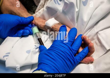 Porto, Portugal. 23 janvier 2021. Un agent de santé prélève du sang pour l'analyse d'un patient jugé positif de covid19 dans un département de l'hôpital universitaire de São João do Porto.l'hôpital universitaire de São João do Porto, un hôpital central dans la région du nord, reçoit des patients avec Covid-19. Le Portugal compte actuellement 609,136 cas confirmés, 441,556 reprises et 9,920 décès, ce qui en fait le pire pays au monde avec le plus grand nombre de nouveaux cas par million d'habitants. Crédit : SOPA Images Limited/Alamy Live News Banque D'Images