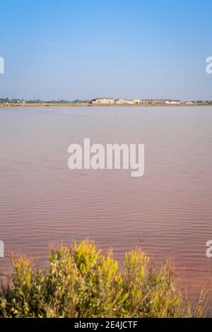 Salin di Cervia, Cervia, Ravenne, Emilie Romagne, Italie, Europe. Banque D'Images