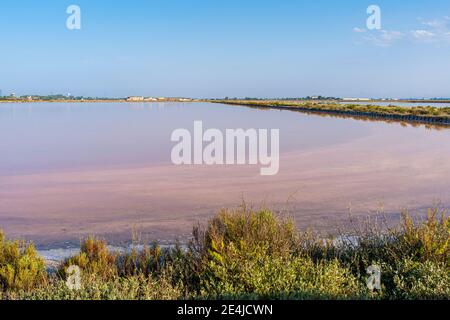 Salin di Cervia, Cervia, Ravenne, Emilie Romagne, Italie, Europe. Banque D'Images