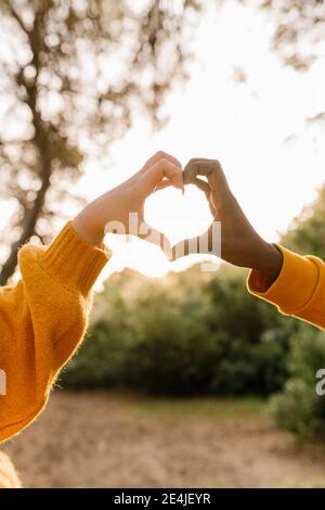 Couple faisant la forme du coeur avec les mains à la forêt Banque D'Images