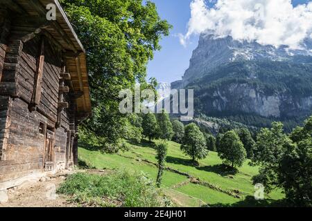 Une grange alpine au fond du glacier de Lower Grindelwald, près de Grindelwald, dans l'Oberland bernois, en Suisse Banque D'Images