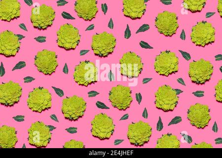 Motif de chou-fleur Romanesco sur fond rose Banque D'Images