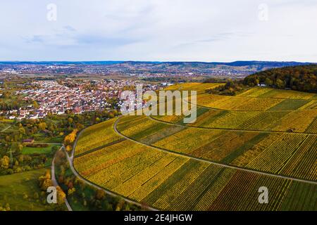 Allemagne, Bade-Wurtemberg, Kernen im Remstal, vue aérienne des vignobles de campagne en automne avec la ville en arrière-plan Banque D'Images