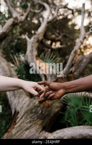 Gros plan de l'homme tenant les mains de la femme en forêt Banque D'Images