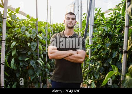 Un jeune fermier mâle plein de confiance debout avec les bras croisés au milieu des plantes à la ferme Banque D'Images