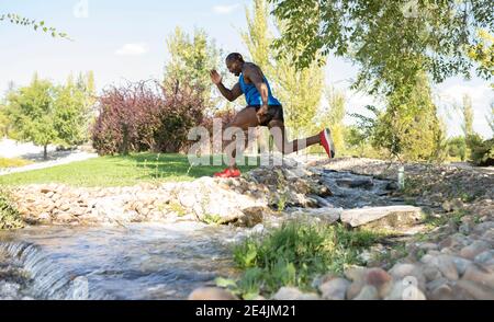 Sportif actif qui court au-dessus des ruisseaux dans le parc Banque D'Images