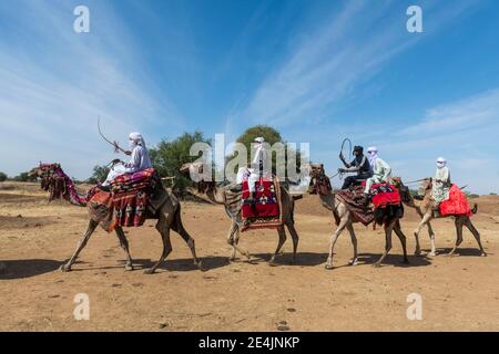 Des coureurs de chameaux colorés à un festival tribal, Sahel, Tchad Banque D'Images