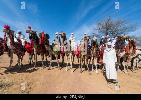 Des coureurs de chameaux colorés à un festival tribal, Sahel, Tchad Banque D'Images