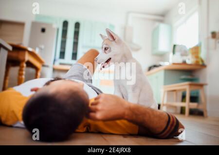 Chiot Husky sibérien assis par le propriétaire allongé sur le sol à accueil Banque D'Images