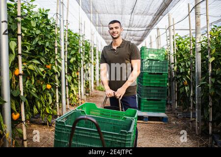 Souriant jeune fermier mâle avec des caisses sur le chariot au milieu des plantes à la ferme Banque D'Images
