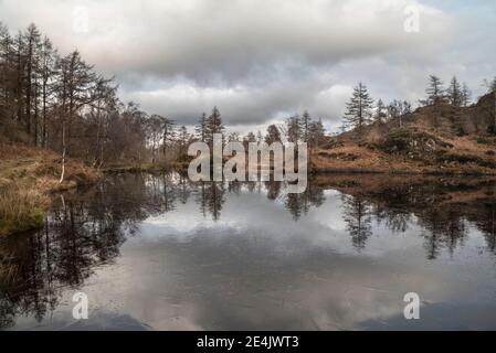 Vue spectaculaire du paysage d'hiver de Holme est tombé dans le lac Quartier vers les chaînes de montagne enneigées dans la distance dans glorieux lumière du soir Banque D'Images