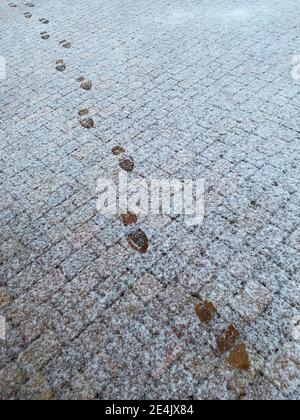 Empreintes sur le trottoir enneigé. Pavés jaunes, recouverts de la première neige, avec des empreintes claires de bottes humaines. Tir vertical avec diagonale de Banque D'Images