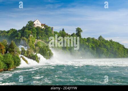 Chutes du Rhin avec le château de Laufen, Suisse Banque D'Images