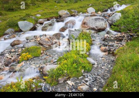 Ruisseau de montagne au col Julier, Grisons, Suisse Banque D'Images