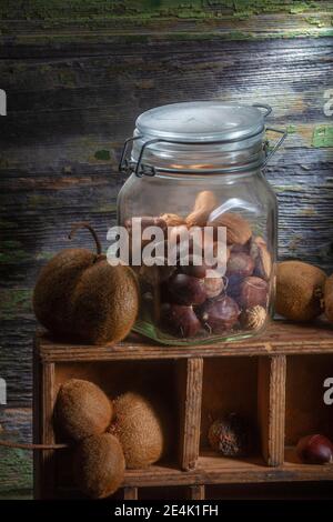 Photo de différents fruits secs et moulés vertical. Gros plan. Sharp Light Studio. Kiwis et noix. La plupart d'entre eux dans un pot en verre Banque D'Images