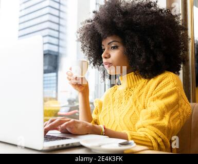 Une jeune femme boit du café tout en travaillant sur un ordinateur portable au café Banque D'Images