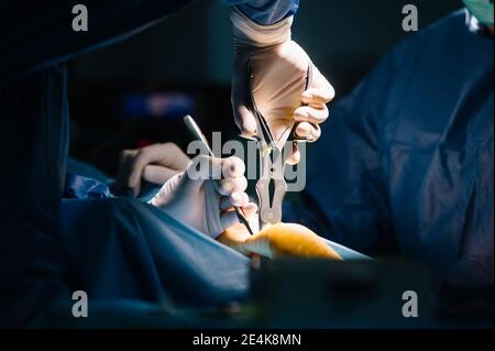 Les chirurgiens masculins exécutant le tendon d'achille dans la salle d'opération de l'hôpital Banque D'Images