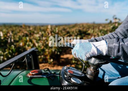 Les mains de l'homme sur le volant du tracteur dans le vignoble Banque D'Images