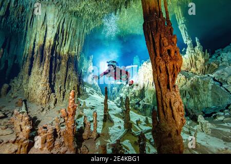 Plongeur de grotte mâle explorant dans l'eau, Cenote Zacil-Ha, Quintana Roo, Mexique Banque D'Images