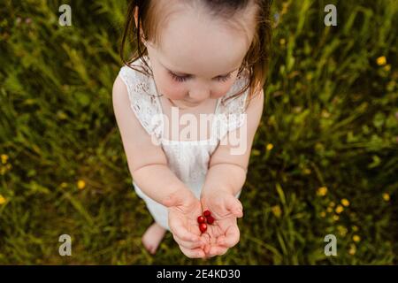 Petite fille adorable tenant un bouquet de fraises fraîchement cueillies Banque D'Images