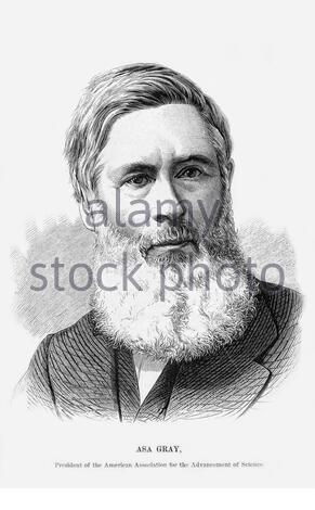 ASA Gray portrait, 1810 – 1888, est considéré comme le plus important botaniste américain du XIXe siècle, illustration ancienne de 1880 Banque D'Images