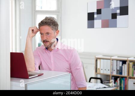 Mature businessman working on laptop in office Banque D'Images