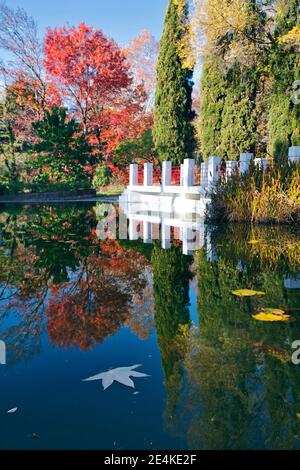 Russie, Krasnodar Krai, Sotchi, arbres se reflétant sur la surface de l'étang brillant dans le parc d'automne Banque D'Images