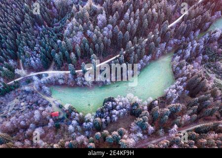 Allemagne, Bade-Wurtemberg, Drone vue de la petite glade dans la forêt souabe à l'aube d'hiver Banque D'Images