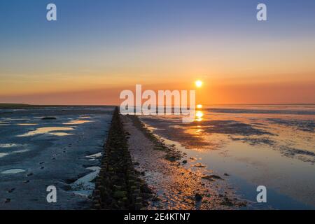 La marée basse a découvert une protection côtière pendant que le soleil se couche sur la mer des wadden Banque D'Images