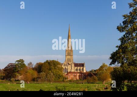 Vue sur les Harnham Water Meadows en direction de la flèche de la cathédrale de Salisbury, au sud de Salisbury, Wiltshire, Royaume-Uni. Banque D'Images