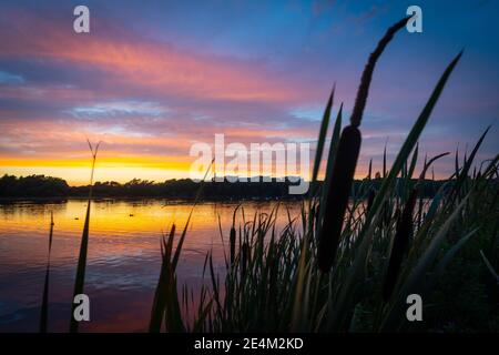 Coucher de soleil été lever de soleil ciel au réservoir de Kings Mill à Mansfield L'hôpital de Notinghamshire est le reflet d'un ciel orange époustouflant qui reeds sutton Ashfield NG17 Banque D'Images