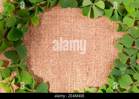 Joyeux arrière-plan de la Saint Patrick avec un cadre rond en feuilles de shamrock fraîches vertes sur un tissu gunny. Banque D'Images