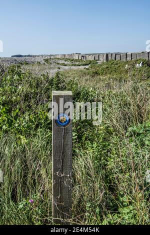 Plage d'Aberdéce montrant des cailloux et des blocs anti-chars sur la côte du patrimoine de Glamourgan, Vale de Glamourgan Sud du pays de Galles Banque D'Images