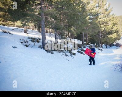 garçon avec un traîneau en hiver Banque D'Images