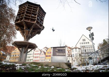 20 janvier 2021, Bade-Wurtemberg, Tübingen: Un pigeon vole vers une tour de pigeon. Photo: Sebastian Gollnow/dpa Banque D'Images