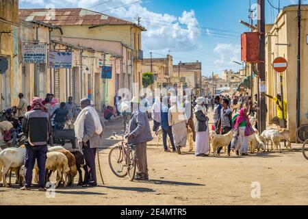 Les gens socialisent sur le marché dans le centre d'Asmara Erythrée. Banque D'Images