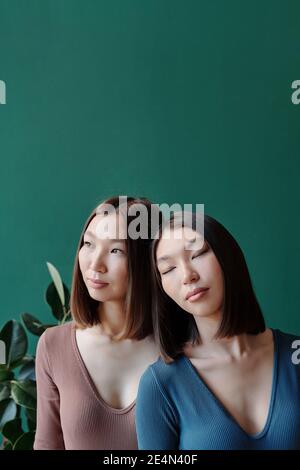 Jeunes magnifiques sœurs jumelles d'origine asiatique avec une douceur sombre les cheveux se détendent devant la caméra contre la plante domestique et mur vert jade Banque D'Images