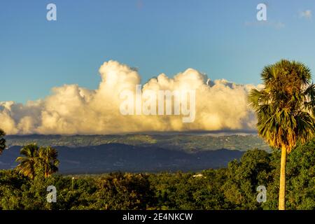 Les montagnes de la Cordillère Septentrionale, baignées de nuages blancs bouffieux, offrent une toile de fond aux palmiers, au feuillage tropical et aux terres agricoles. République dominicaine. Banque D'Images