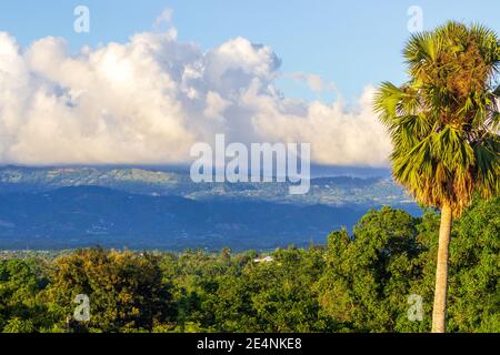 Les montagnes de la Cordillère Septentrionale, baignées de nuages blancs bouffieux, offrent une toile de fond aux palmiers, au feuillage tropical et aux terres agricoles. République dominicaine. Banque D'Images