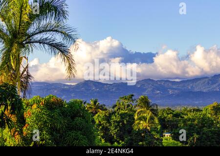 Les montagnes de la Cordillère Septentrionale, baignées de nuages blancs bouffieux, offrent une toile de fond aux palmiers, au feuillage tropical et aux terres agricoles. République dominicaine. Banque D'Images