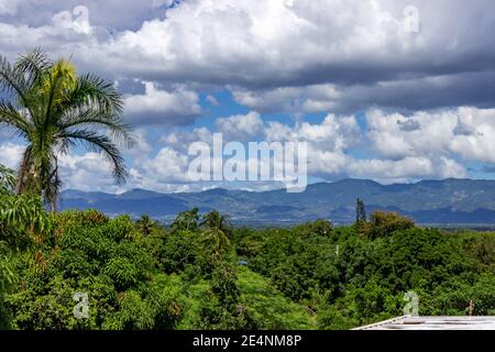 Les montagnes de la Cordillère Septentrionale, baignées de nuages blancs bouffieux, offrent une toile de fond aux palmiers, au feuillage tropical et aux terres agricoles. République dominicaine. Banque D'Images