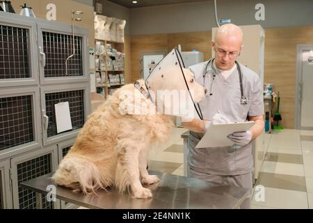 Médecin en uniforme prenant des notes sur la carte médicale après examen de chien domestique en clinique Banque D'Images