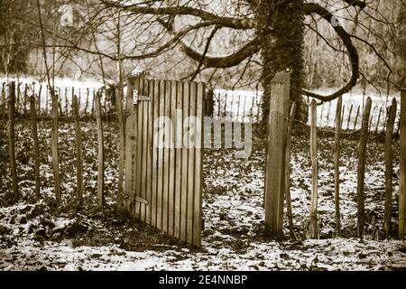 Porte en bois dans la forêt Banque D'Images