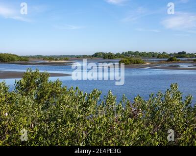 Surplombant les îles dans la baie arrière d'une Cedar Key, Floride, États-Unis. Banque D'Images