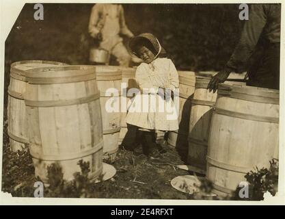 Mary Christmas, près de 4 ans. Cueille parfois des canneberges. Elle récolte maintenant des baies déversées aux barils par le grand-père. Grandpa dit : « Je fais parfois son choix, oui. » Banque D'Images