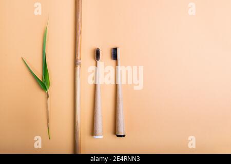 Vue de dessus canne en bambou frais avec des feuilles vertes et des brosses à dents sur fond neutre. Articles de toilette écologiques en bambou gratuits. Concept Banque D'Images