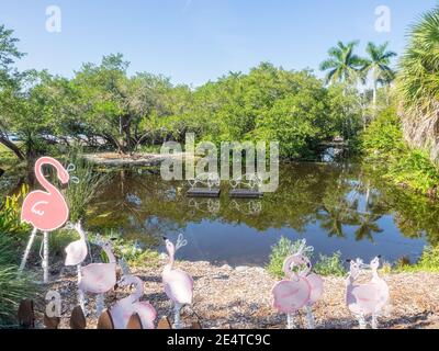 Marie Selby Botanical Gardens est un jardin botanique de 15 hectares (6.1 ha) situé au 900 South Palm Avenue à Sarasota, Floride. Banque D'Images