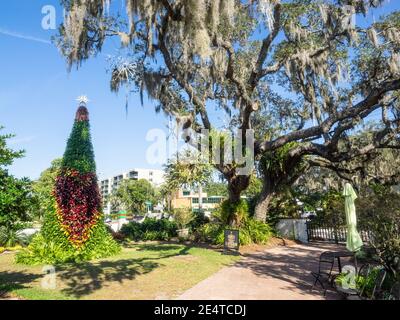 Marie Selby Botanical Gardens est un jardin botanique de 15 hectares (6.1 ha) situé au 900 South Palm Avenue à Sarasota, Floride. Banque D'Images