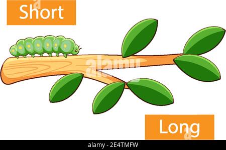 Adjectifs opposés avec une illustration courte et longue Illustration de Vecteur